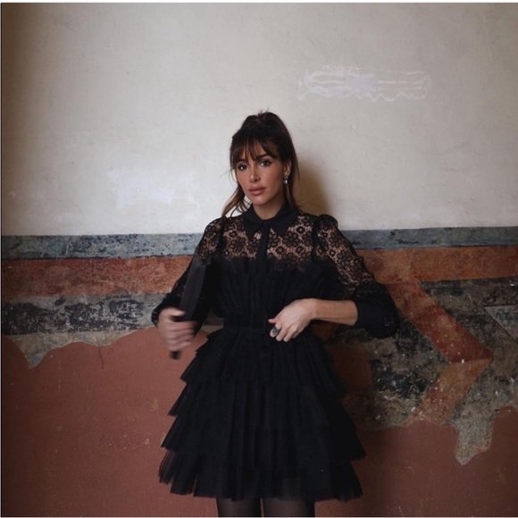 ZARA Tulle Dress Limited Edition - Picture 4 of 9